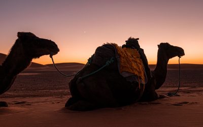 2-DAY MOROCCO DESERT TOUR FROM AGADIR: ENJOY YOUR TIME